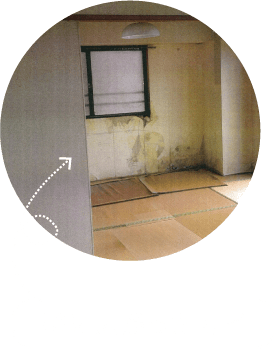 壁に広がったカビ